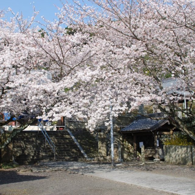 【西条市】久妙寺
