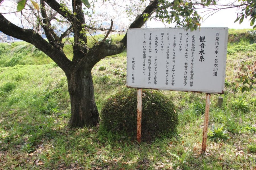 「水のまち」西条を支える湧水源