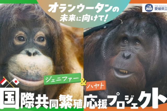 とべ動物園（昼食）