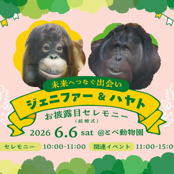 【とべ動物園】ジェニファー＆ハヤトお披露目セレモニー