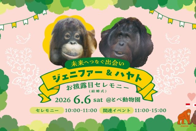 【とべ動物園】ジェニファー＆ハヤトお披露目セレモニー