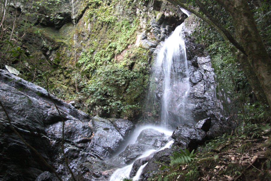 流れ落ちてきた水が岩肌に沿って、いくつもの流水になり、荒々しく流れ落ちる女滝。その景観美に訪れた人は酔いしれる。