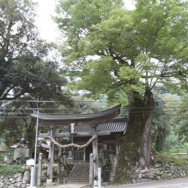 広瀬神社