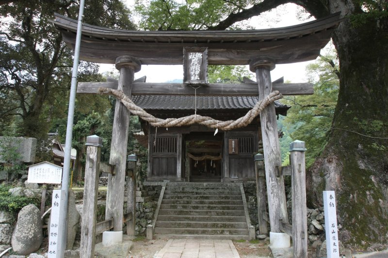 木製の笠屋根付き鳥居は巨木と一体感のある美しい佇まい。