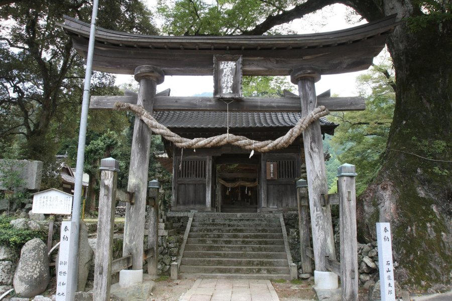 木製の笠屋根付き鳥居は巨木と一体感のある美しい佇まい。