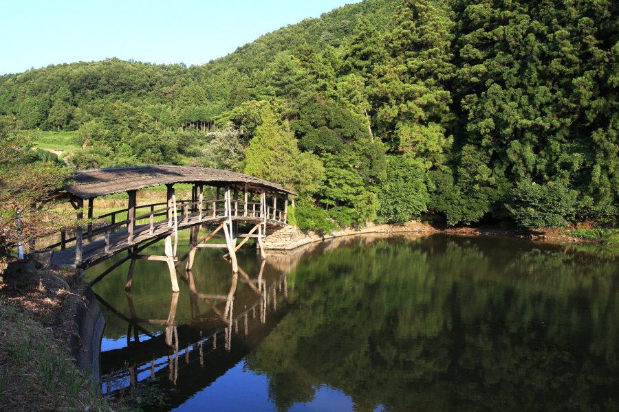水面に映る木々、緩やかなカーブを描く太鼓橋はまさに絶景！