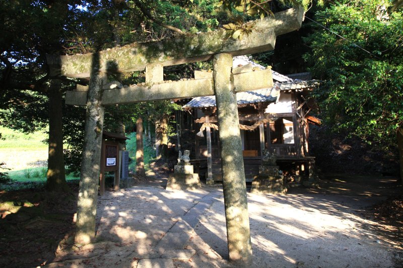 木々に囲まれ、ひっそりと佇む社殿に歴史を感じる。