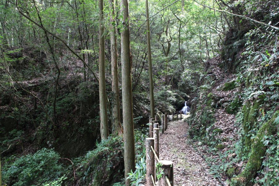 渓谷沿いには遊歩道も整備されており、滝に向かいながら大自然の散策を楽しめる。