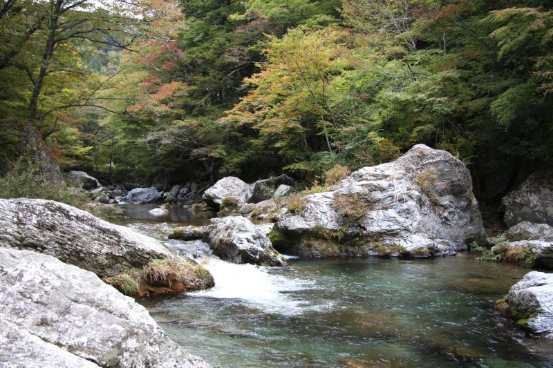 川底が見える程水は透き通っており、とても清らか。季節によって渓谷は表情を変え、様々な絶景で人々を出迎えてくれる。