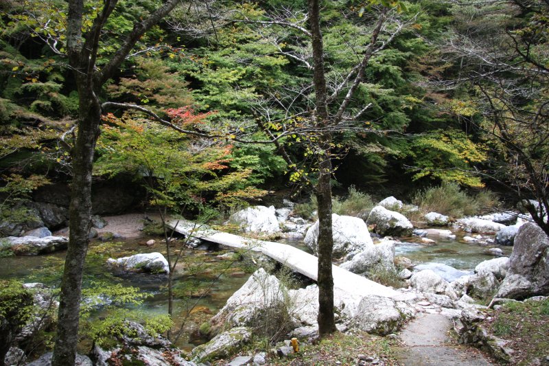 川が増水しても決壊しないように造られた沈下橋。一般的な橋より低く設計しているため、より川に近づくことができる。