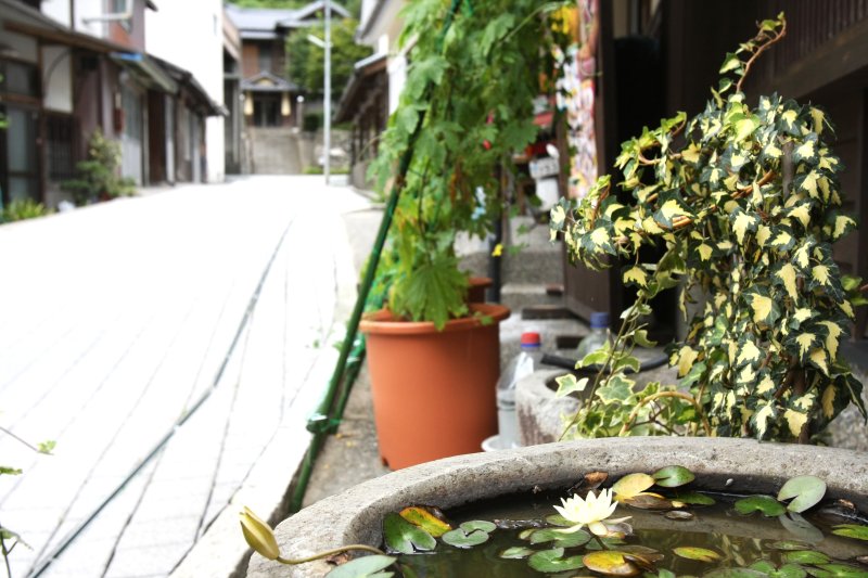 美しい自然と文化の風薫る温かな家並みは、忘れがたい心の故郷を思わせる。