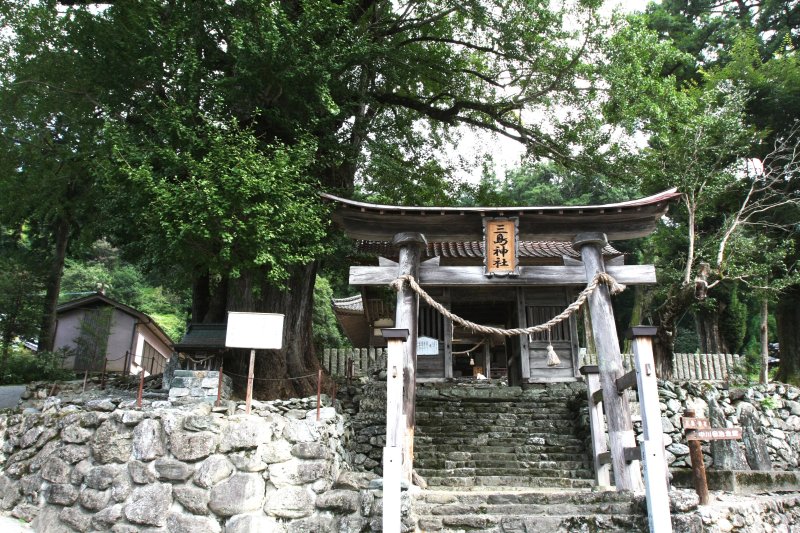 鳥居脇にある大イチョウは、幹のあちこちから垂れ下がる気根の皮を煎じて飲むと、女性の乳がよく出るという言い伝えから「乳出の大イチョウ」と名づけられている。