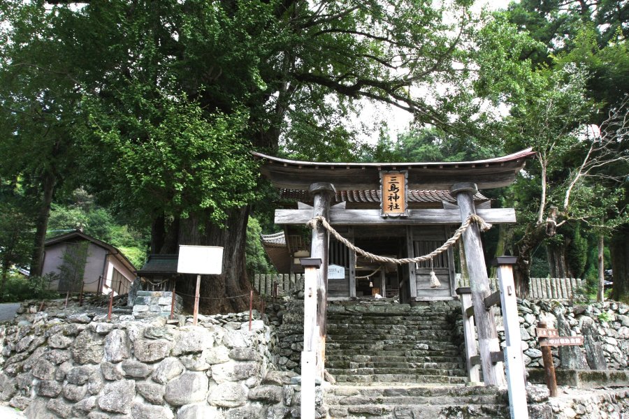 鳥居脇にある大イチョウは、幹のあちこちから垂れ下がる気根の皮を煎じて飲むと、女性の乳がよく出るという言い伝えから「乳出の大イチョウ」と名づけられている。