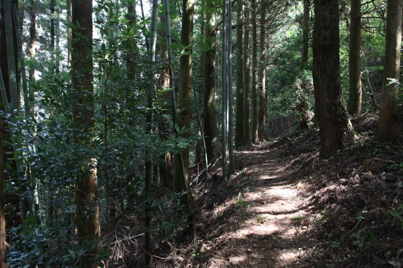 脱藩の道に指定された道は竹や木々が生い茂り、龍馬が駆け抜けた当時と変わらぬ面影を残しているのかもしれない。