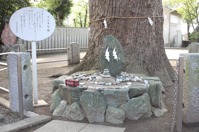 境内にあるクスノキの根元には、産土神（うぶすながみ）が祀られている。周りにある石に願いを込め、拝殿の北側にある連理の枝をくぐれば願いが成就するかも!?