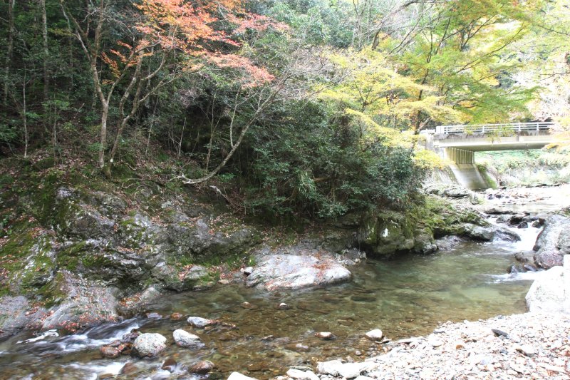 11月中旬頃から紅葉が始まり、訪れる人の目を楽しませてくれる。