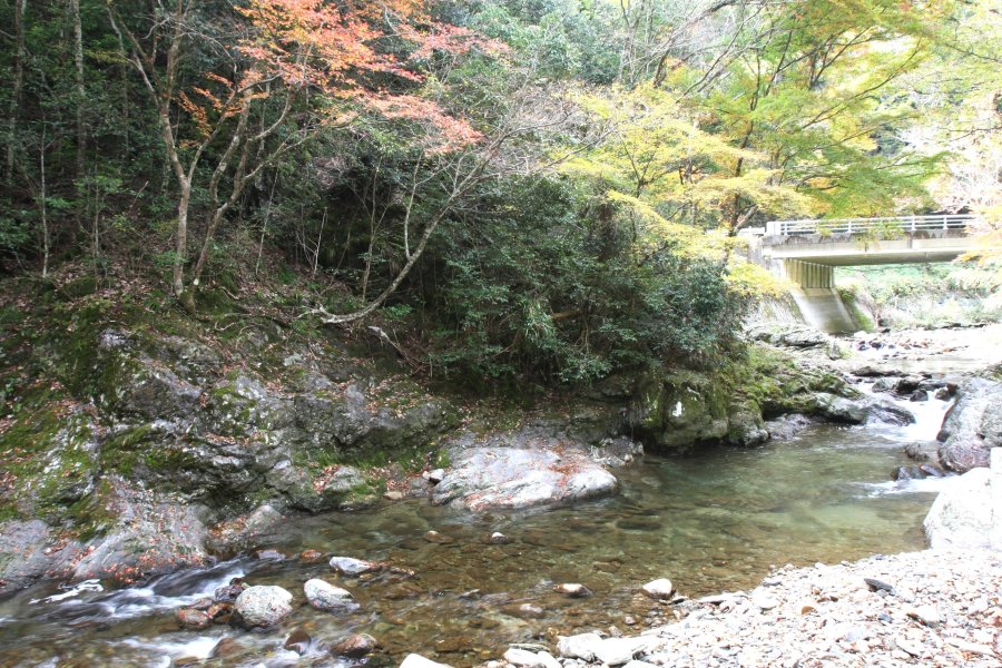 11月中旬頃から紅葉が始まり、訪れる人の目を楽しませてくれる。