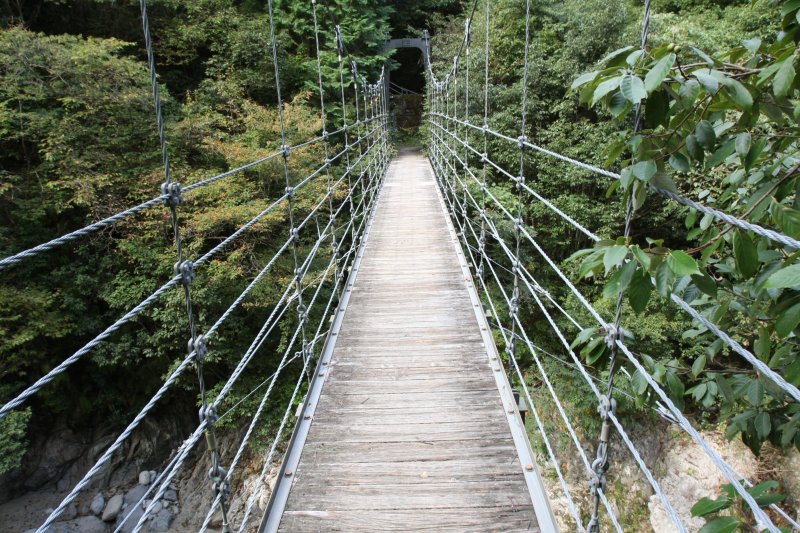 渓谷に架かる吊り橋からの景色は格別。揺れは我慢してぜひ渡ってみよう。