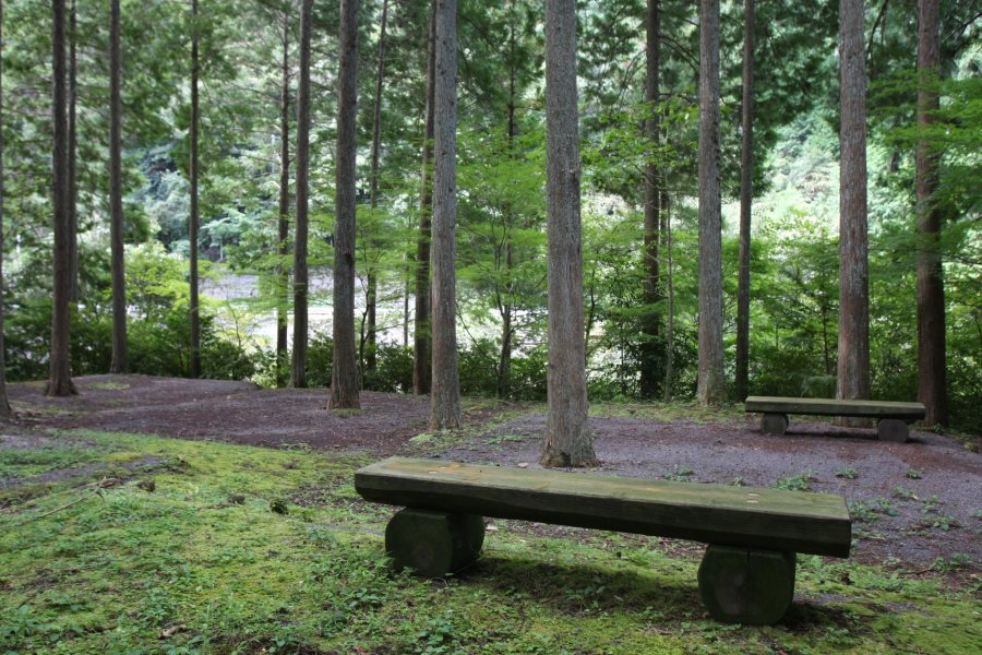 木々に囲まれた無料で利用できるキャンプ場は、森の息吹を感じながら過ごせる。