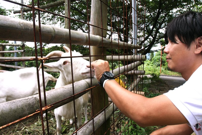 展望台への道中には、ヤギの小屋がある。