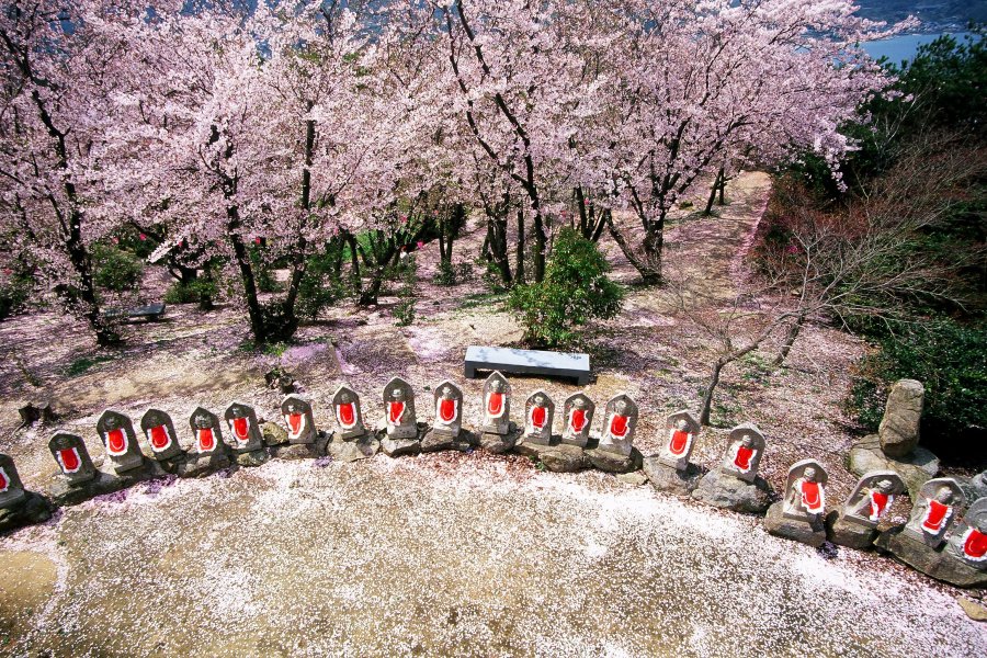 春になると開山を覆う約1000本の桜を始めとした季節の花が咲き乱れ、多くの人が訪れる。