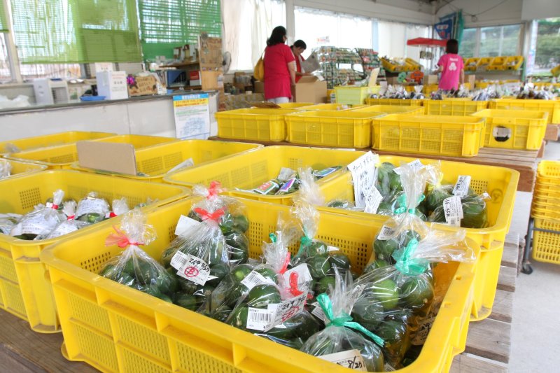ふれあい屋台市では柑橘類を始めとした地元大三島産の新鮮な野菜や果物を販売している。