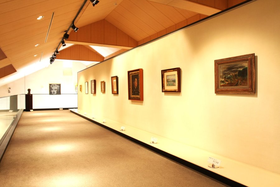 ピカソやシャガールなど一度は名前を聞いたことのある画家の絵画が数多く展示されている。