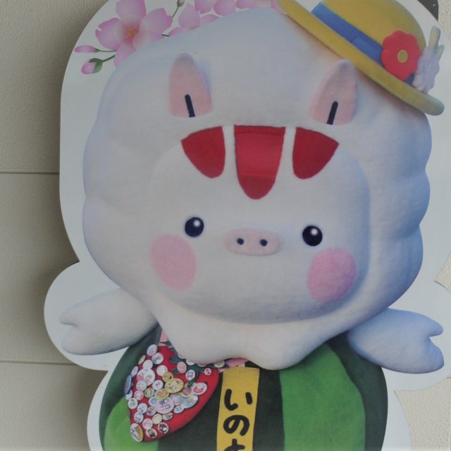 東温市イメージキャラクターいのとん♪