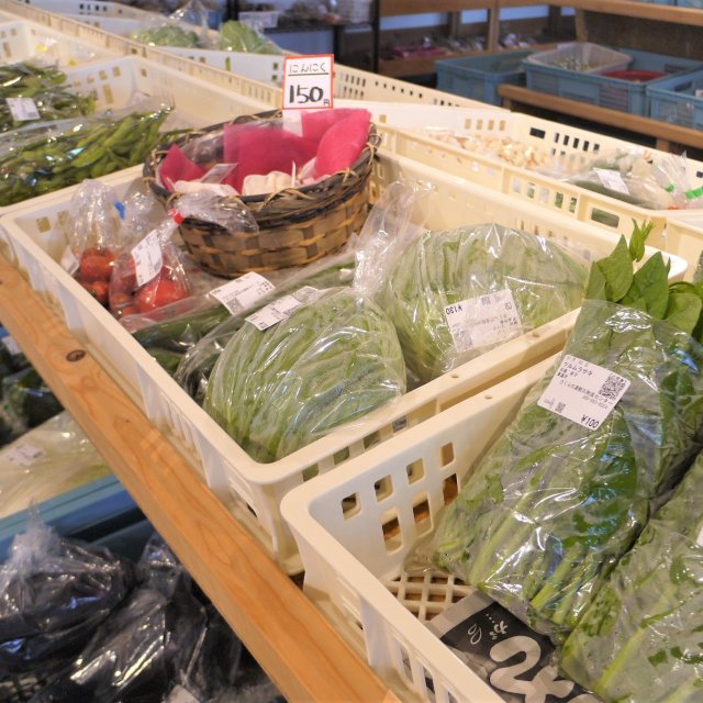 新鮮なお野菜