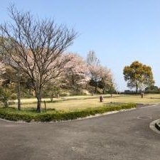 キャンプ場