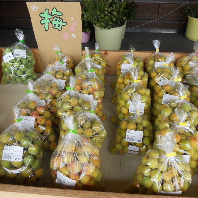 採りたて「うめ」
