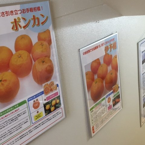 ミュージアム