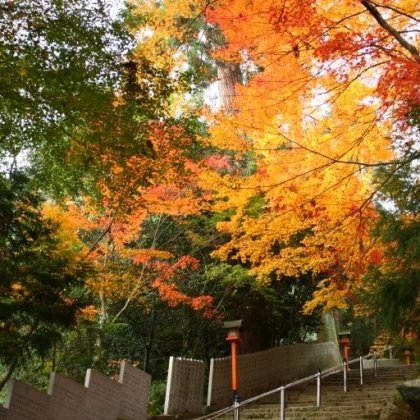 「もみじ寺」と呼ばれる西山興隆寺