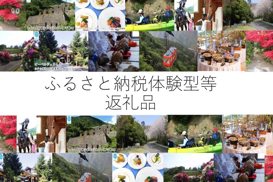 ふるさと納税体験型等返礼品