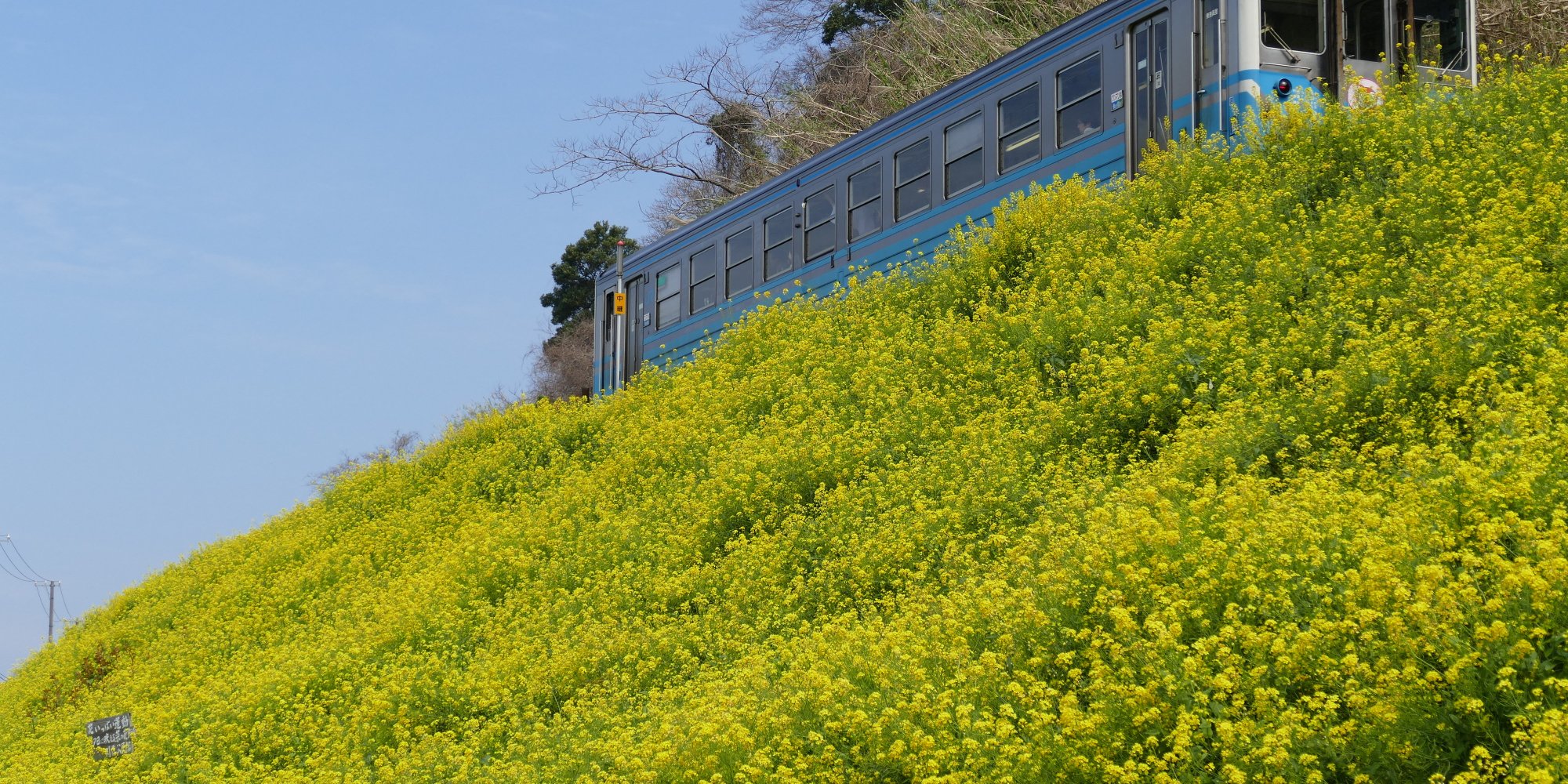 春、車窓の旅。