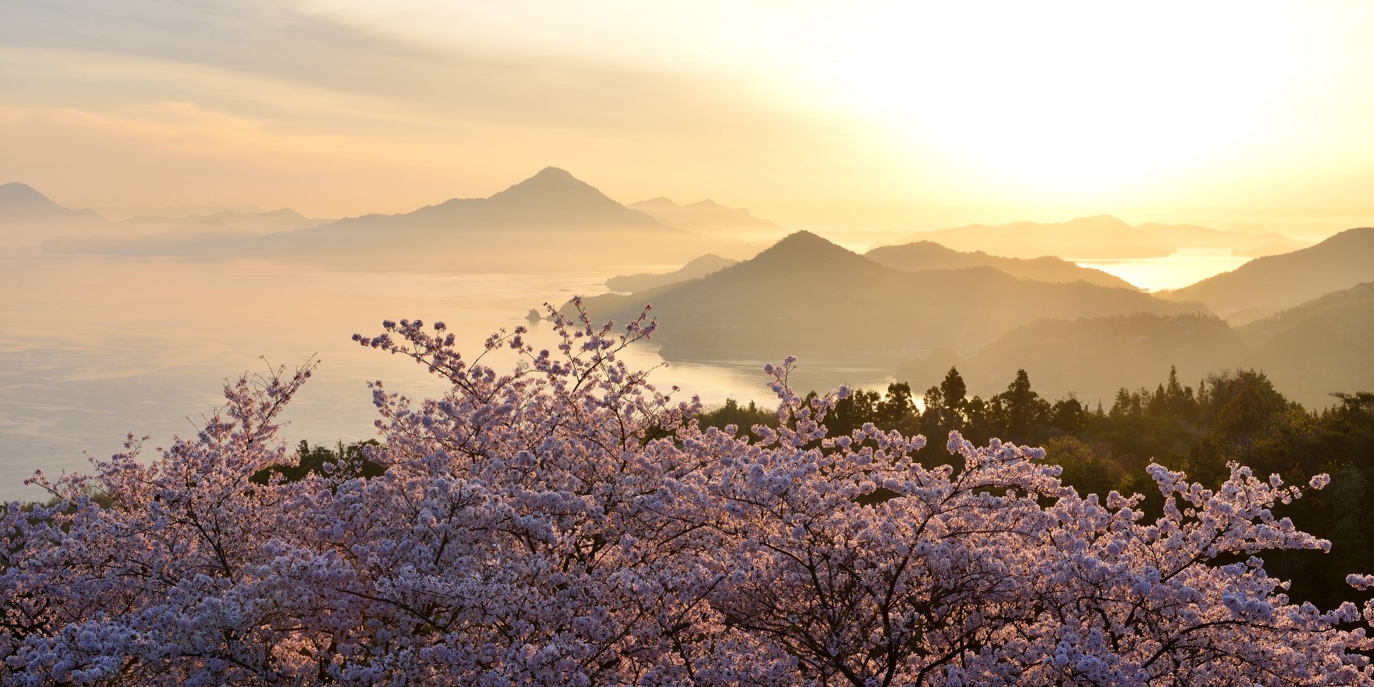 さくらと、島めぐり。