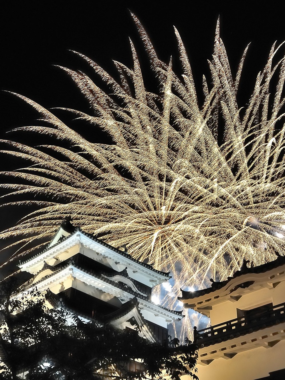 夜空に、夏の華。