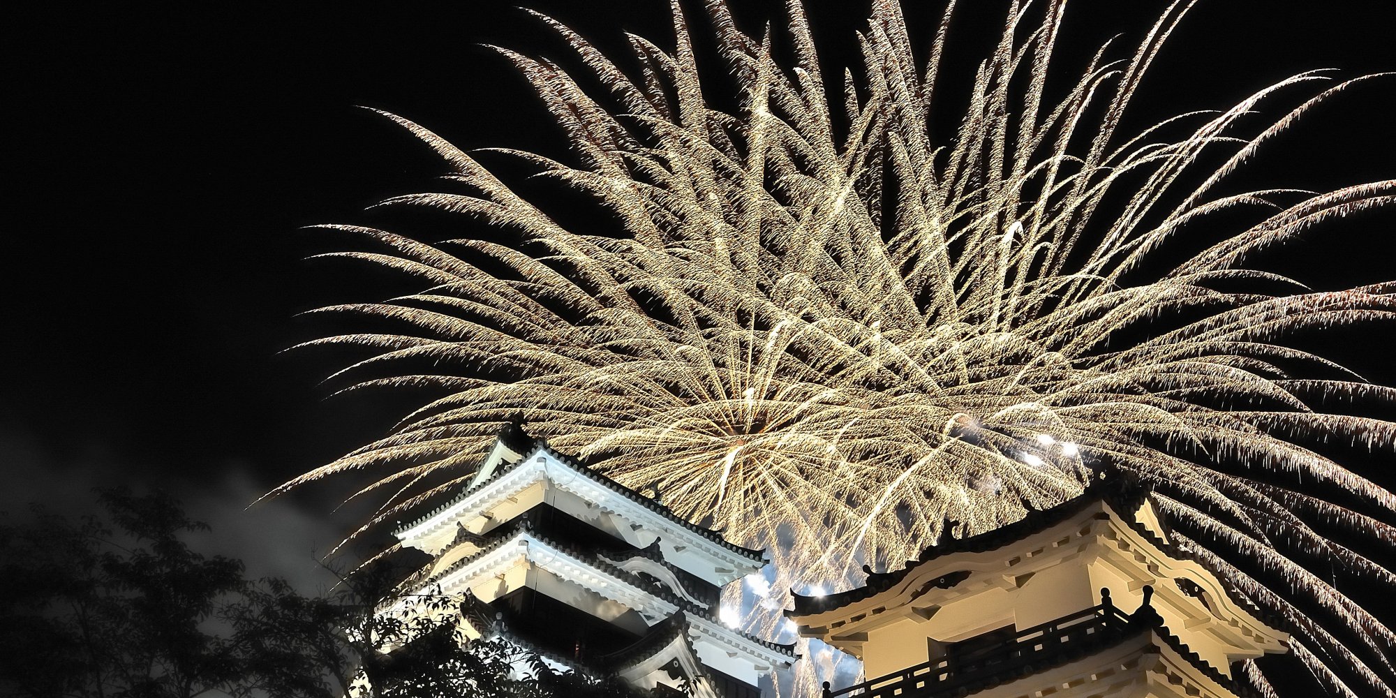 夜空に、夏の華。