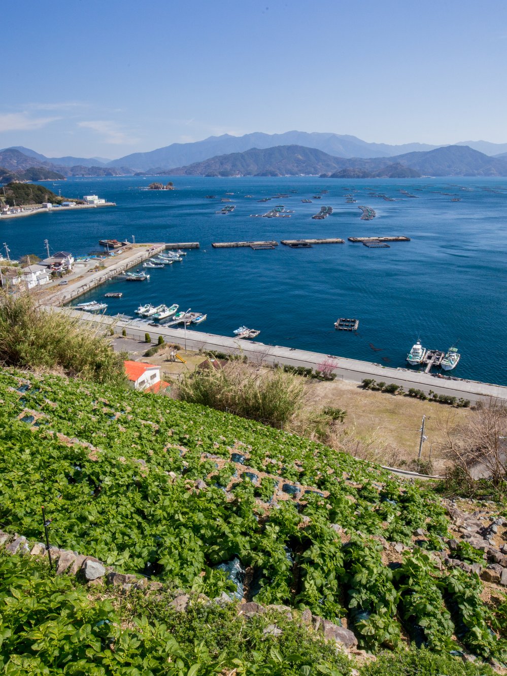 里と海の、恵み。