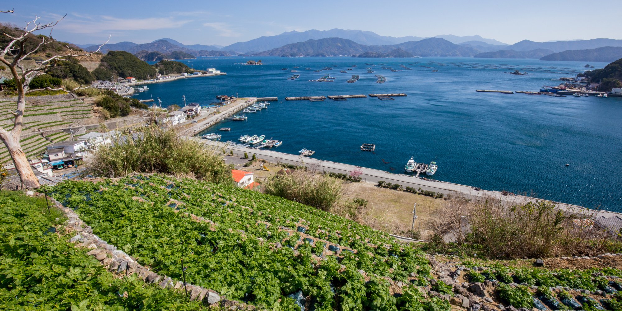 里と海の、恵み。