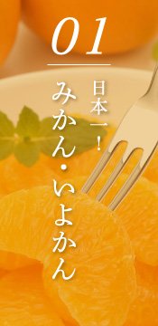 みかん