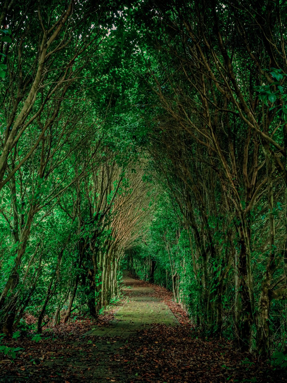 塩ヶ森ふるさと公園