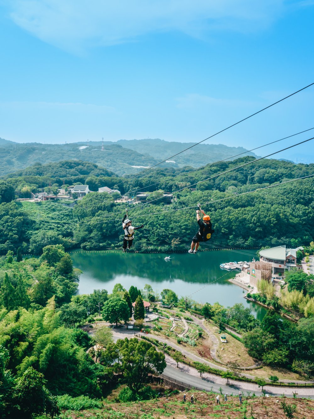 とべもりジップライン