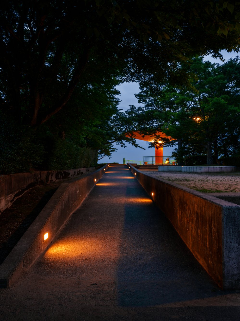 具定展望台の夜景