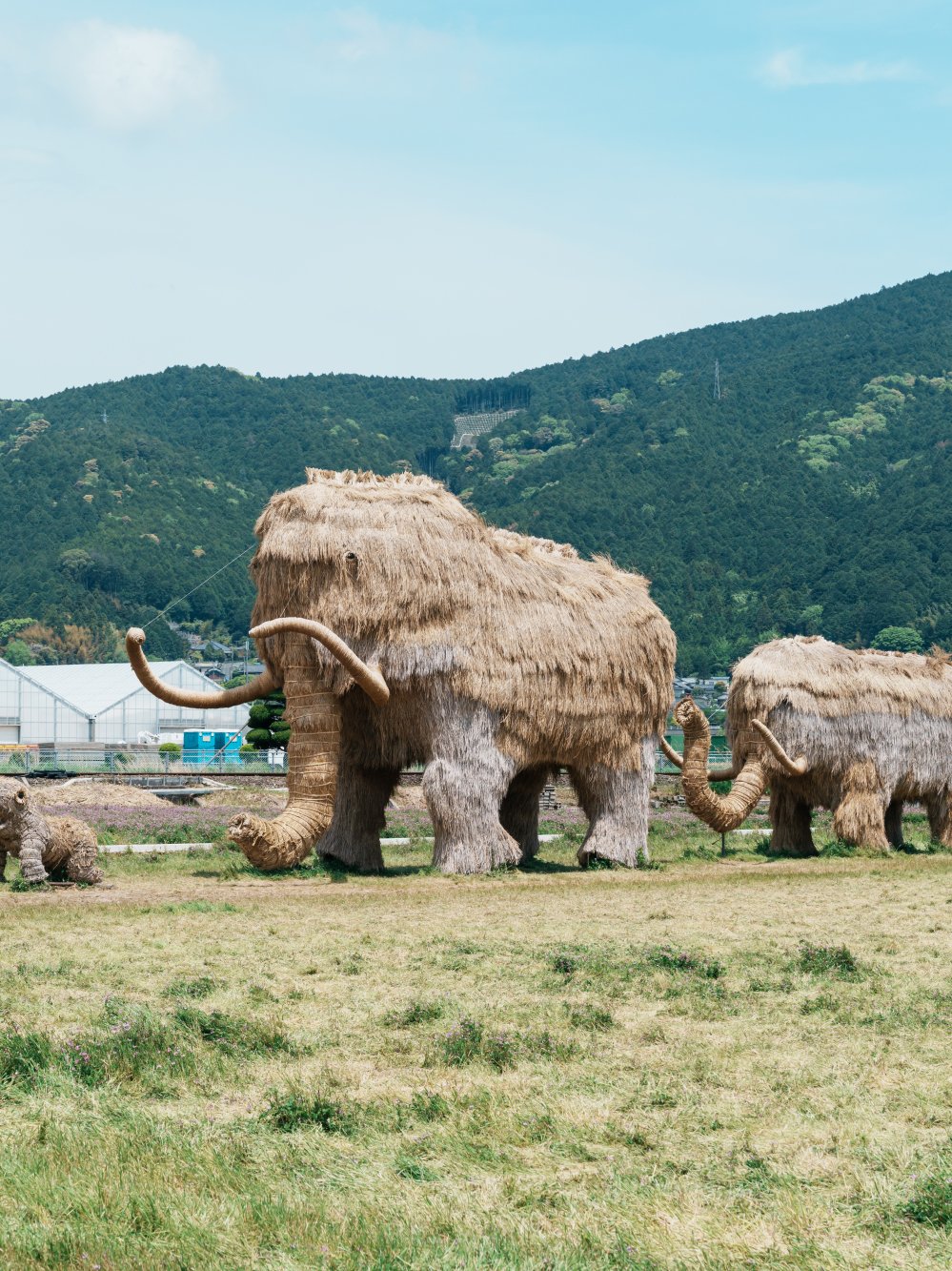 わらマンモス