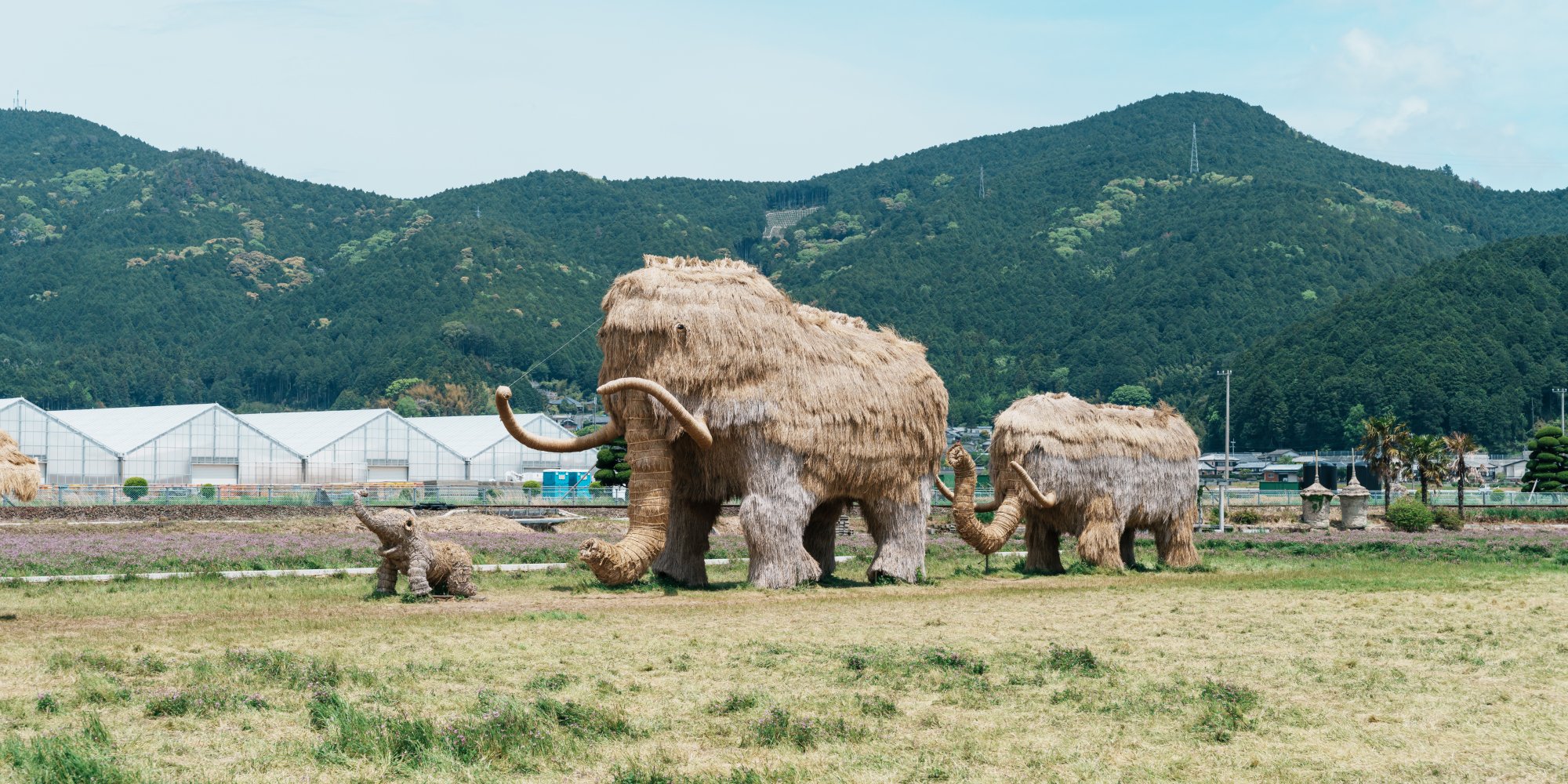 わらマンモス
