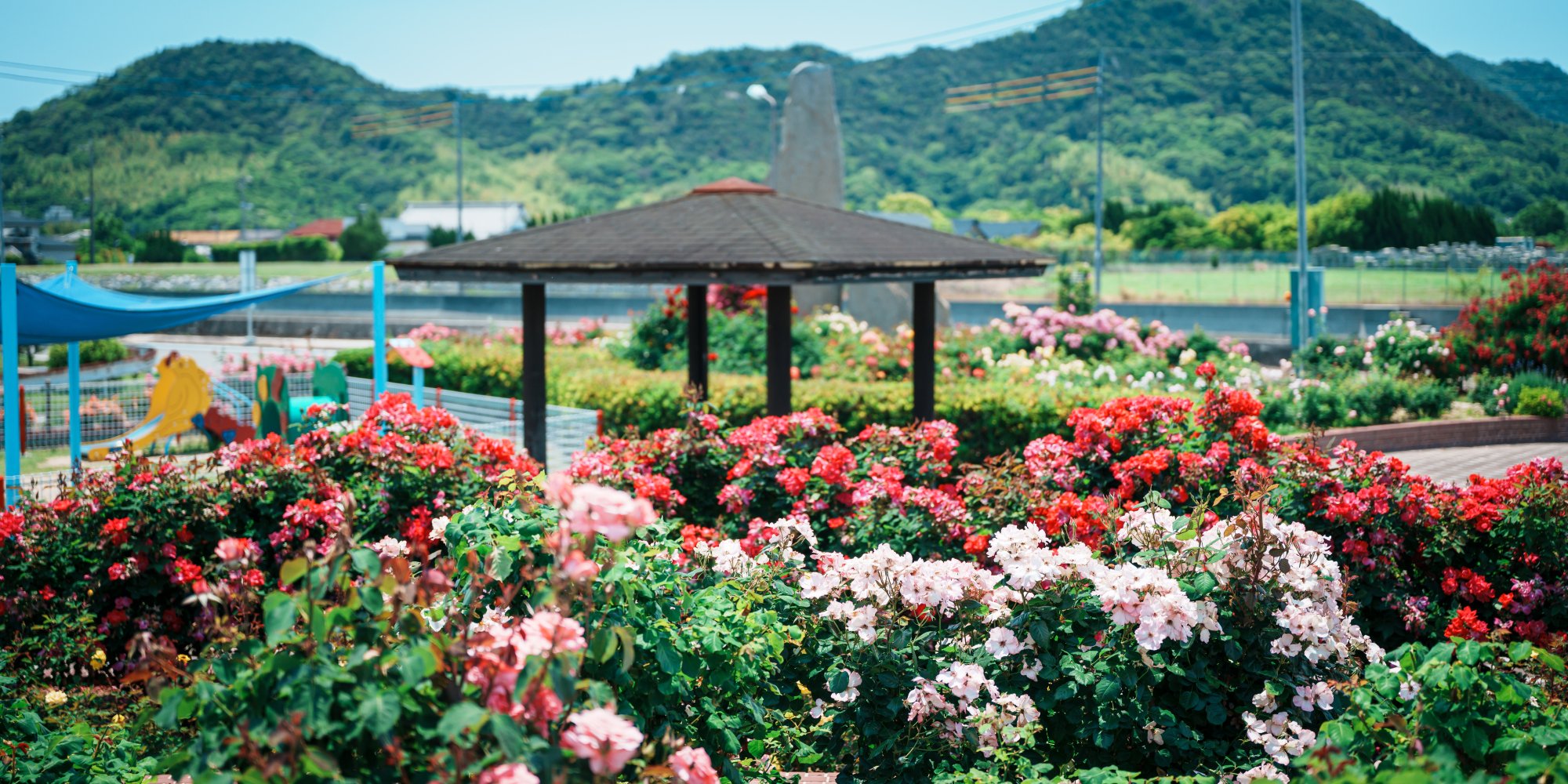 よしうみバラ公園