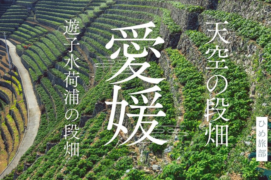 【愛媛観光】まるで天空の段畑！遊水子荷浦の段畑からの景色が絶景だった
