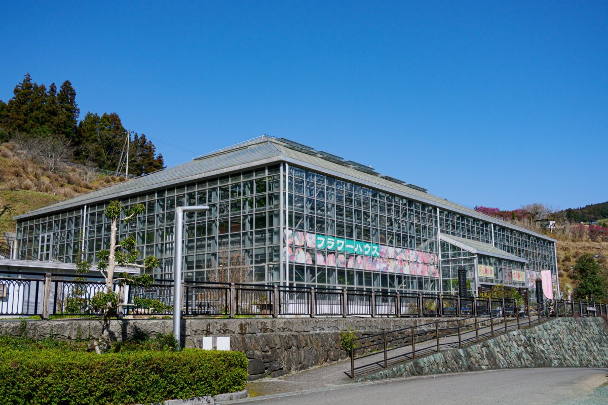 【愛媛県伊予市】見て買って楽しめる巨大植物園・なかやまフラワーハウス