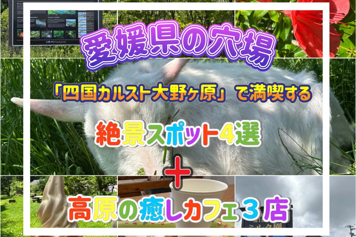 愛媛県の穴場｜「四国カルスト大野ヶ原」で満喫する絶景スポット４選＋高原の癒しカフェ３店